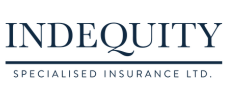 indequity parnter logo